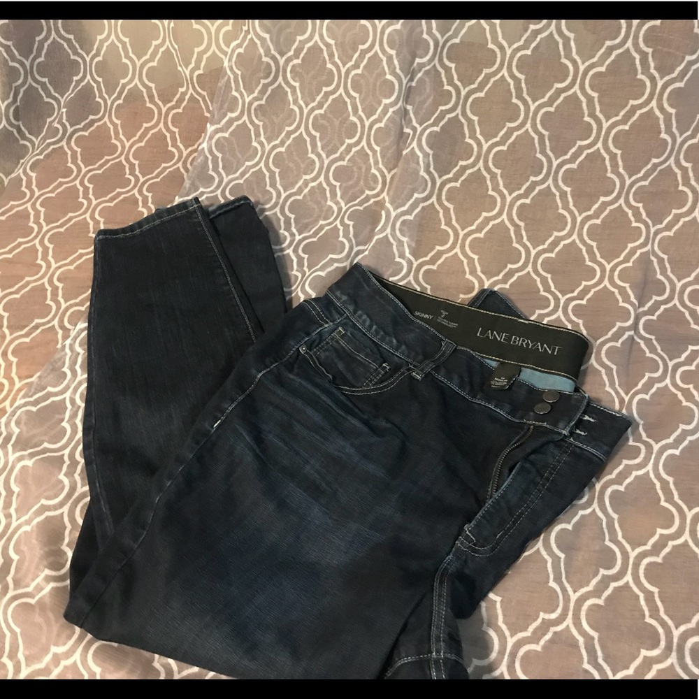 Lane Bryant Skinny TighterTummyTechnology